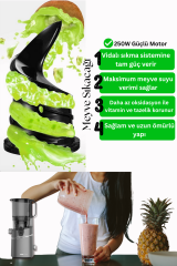 Slow Juicer Yavaş Sıkım Katı Meyve Sıkacağı Sorbe ve dondurma